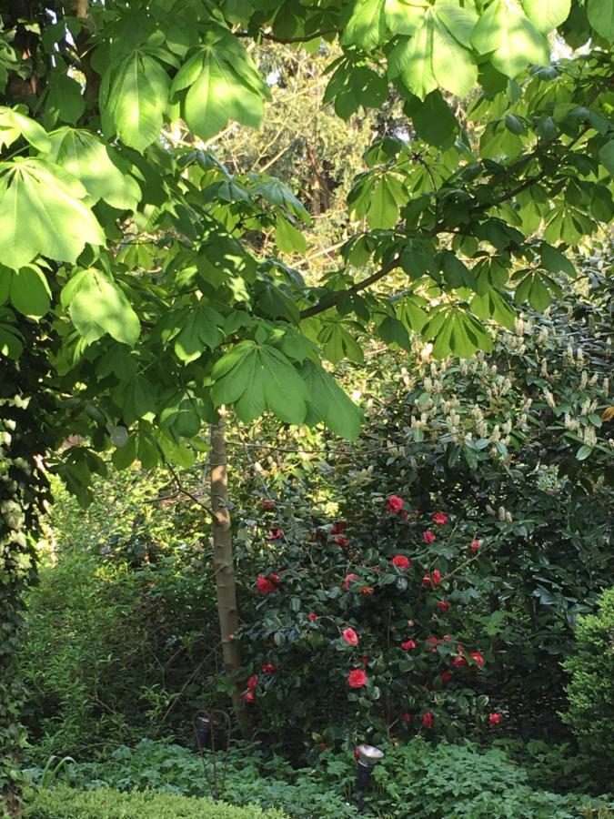 Saarlouis Innenstadt Im Gruenen Eksteriør bilde