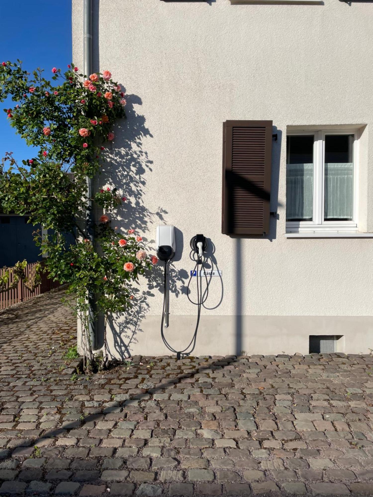 Saarlouis Innenstadt Im Gruenen Eksteriør bilde
